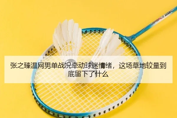 张之臻温网男单战况牵动球迷情绪，这场草地较量到底留下了什么 | NetEase Sports